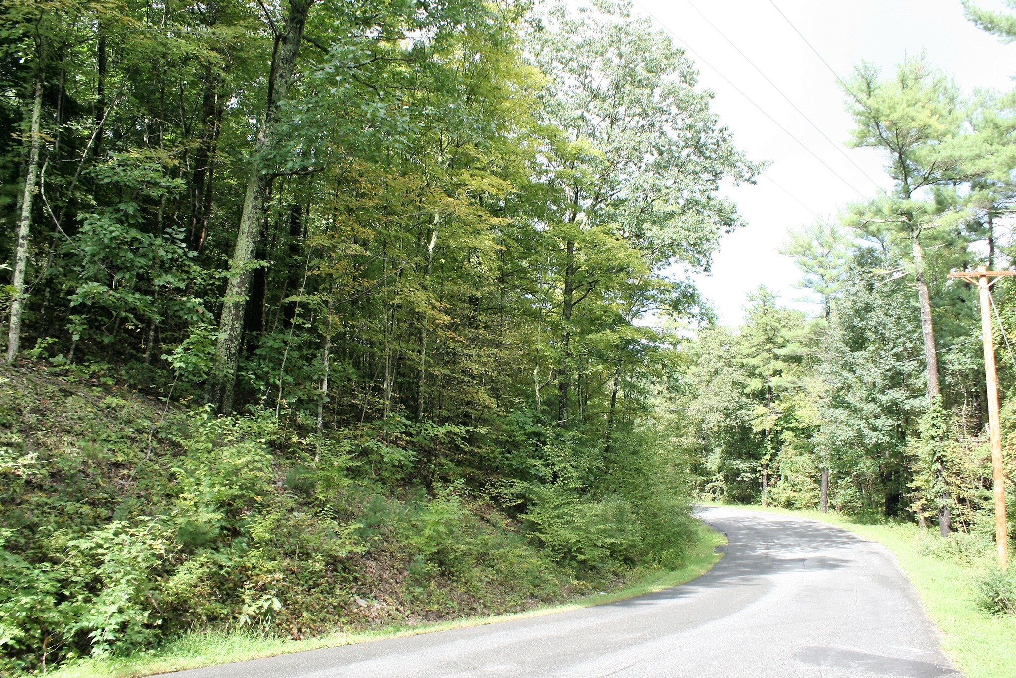 Ross Ruland Ext, Cairo, NY for sale Primary Photo- Image 1 of 1