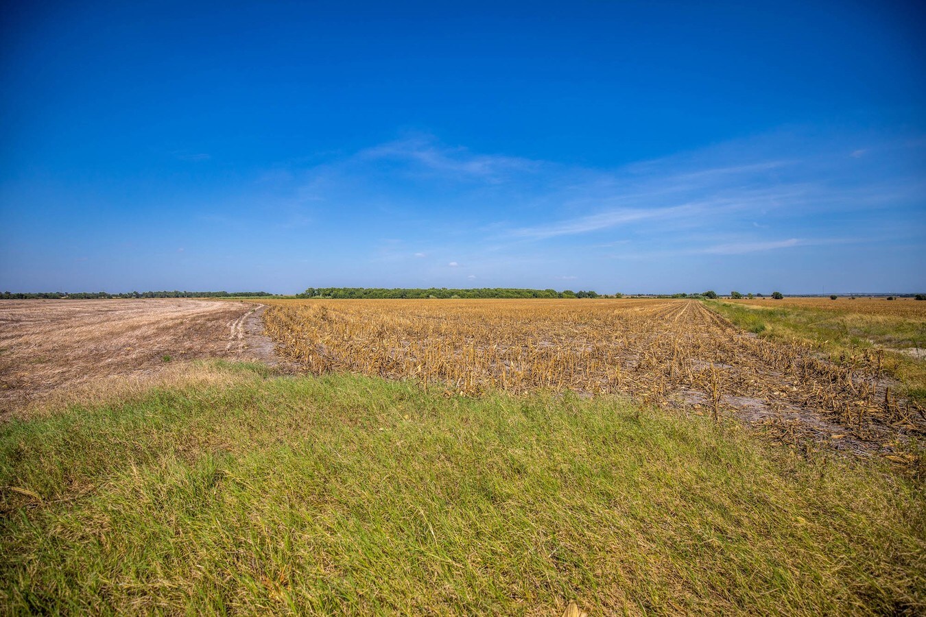 Hartrick Bluff Rd, Temple, TX 76502