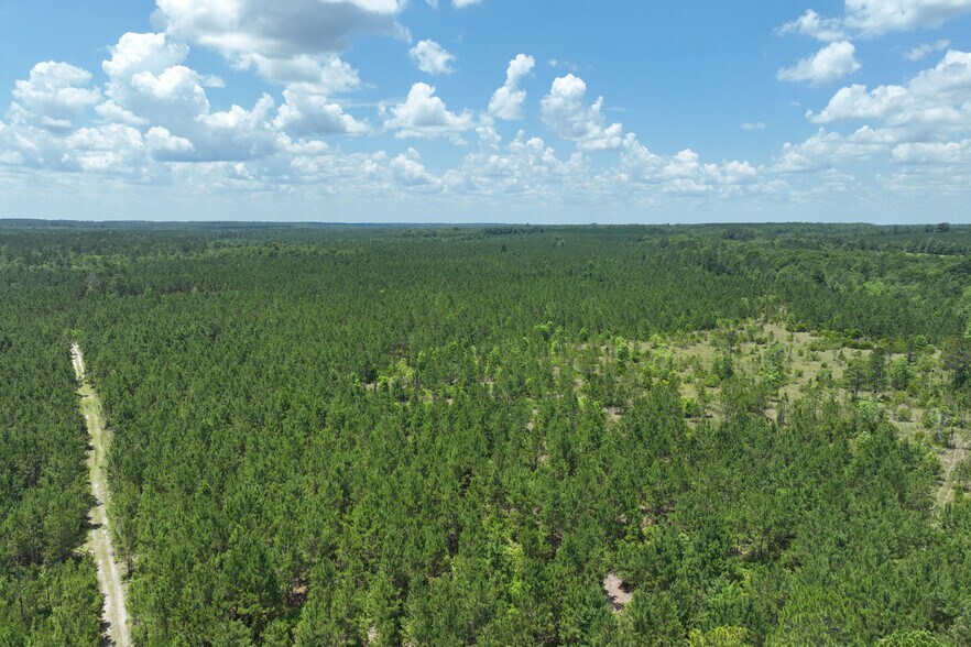 000 Neily Wagon Rd, Lumber City, GA for sale - Building Photo - Image 1 of 1
