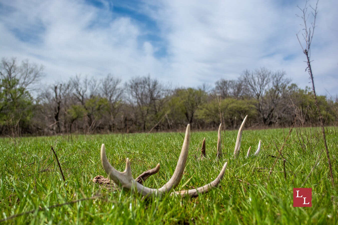 S. McKinely Road, Marlow, OK 73055 | LoopNet