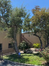100 S Canyonwood Dr, Dripping Springs, TX for lease Interior Photo- Image 2 of 12