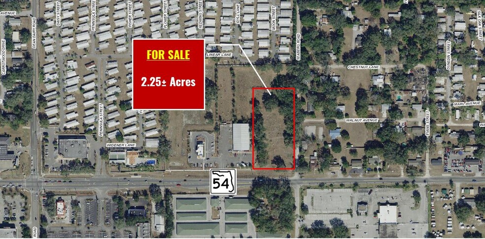 State Road 54 & Seaberg Rd, Zephyrhills, FL for sale - Building Photo - Image 1 of 4