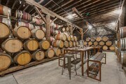 6613 Pope Valley Rd, Pope Valley CA - Vineyard