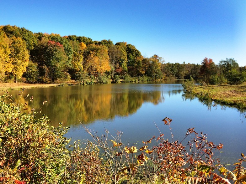 242 Vineyard Ave, Highland, NY for sale - Primary Photo - Image 1 of 1