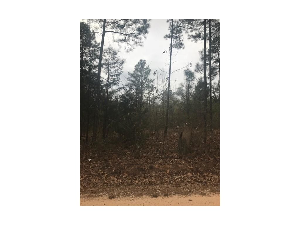 295 Digby Rd, Covington, GA for sale Primary Photo- Image 1 of 1