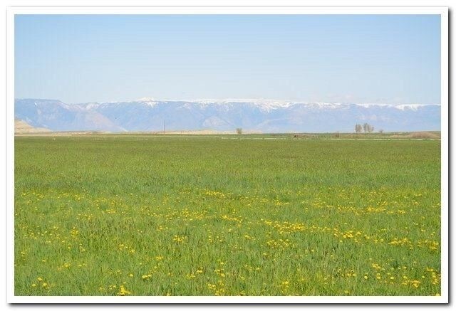0 Great View Rd, Powell, WY for sale Building Photo- Image 1 of 1