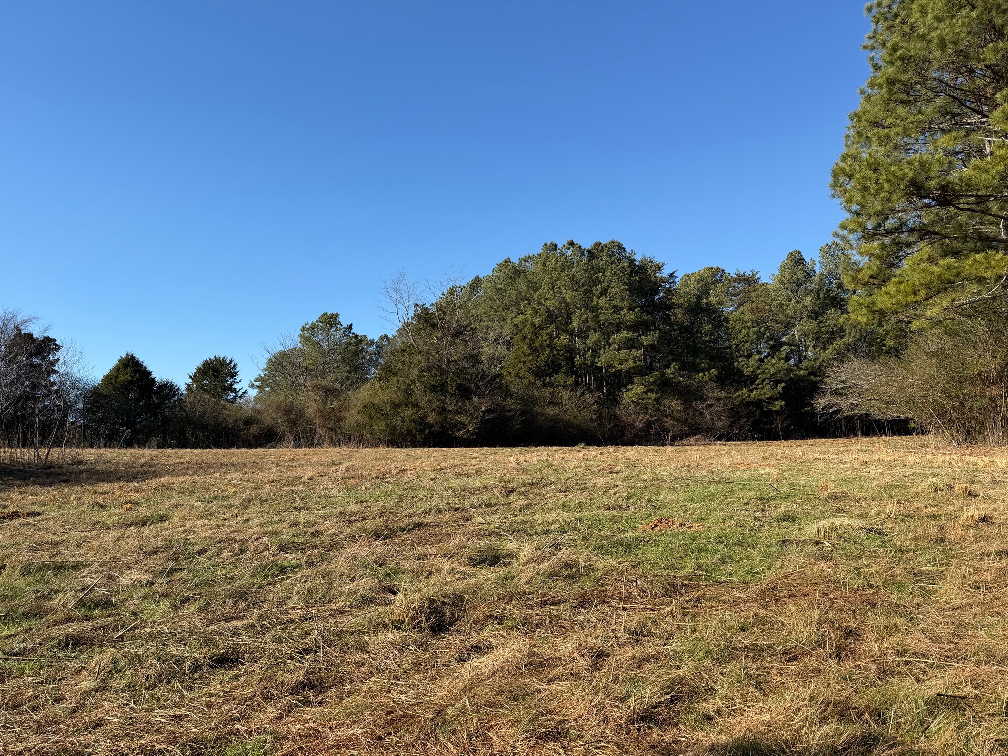 Liberty Church Road Rd, Ranger, GA for sale Primary Photo- Image 1 of 2