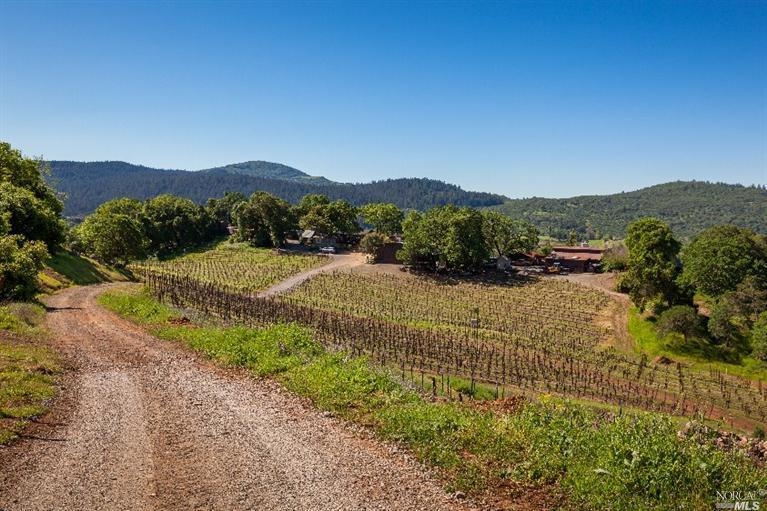 6000 Wildwood Mountain Rd, Santa Rosa, CA for sale - Primary Photo - Image 1 of 1