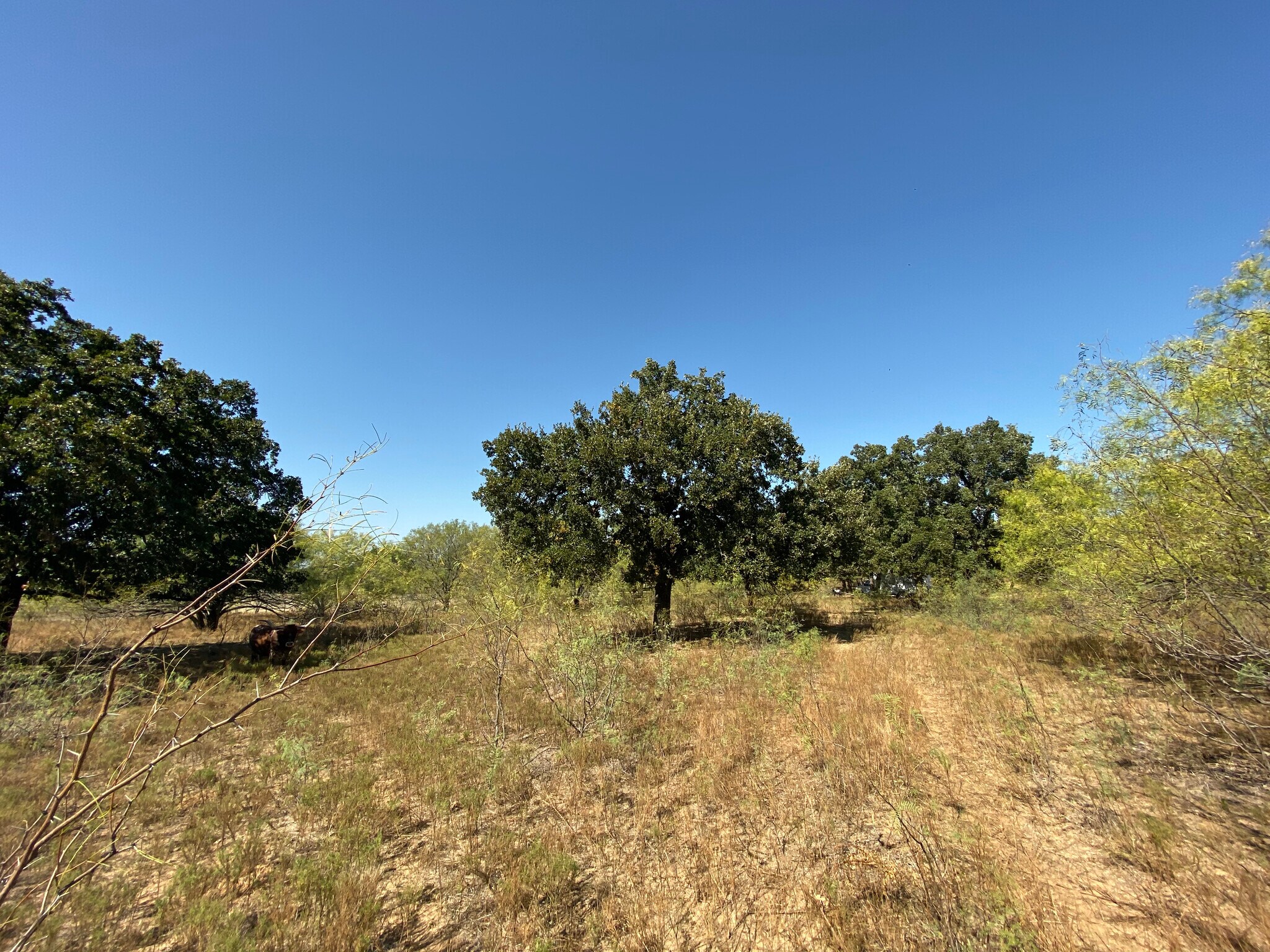 Fm 407, Argyle, TX 76226