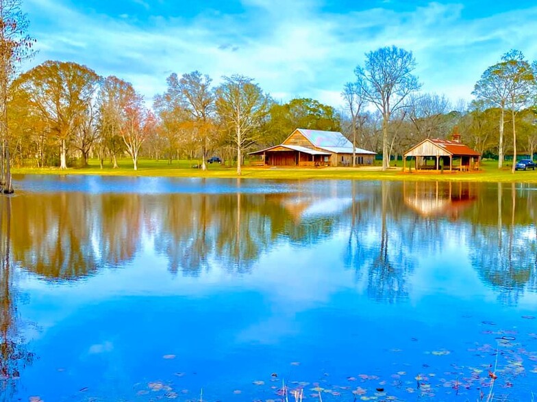 1821 Bridgeboro Anderson City Rd, Doerun, GA for sale - Primary Photo - Image 1 of 1