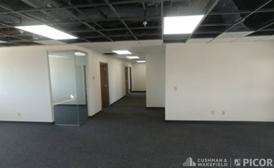 310 S Williams Blvd, Tucson, AZ for lease - Building Photo - Image 3 of 3