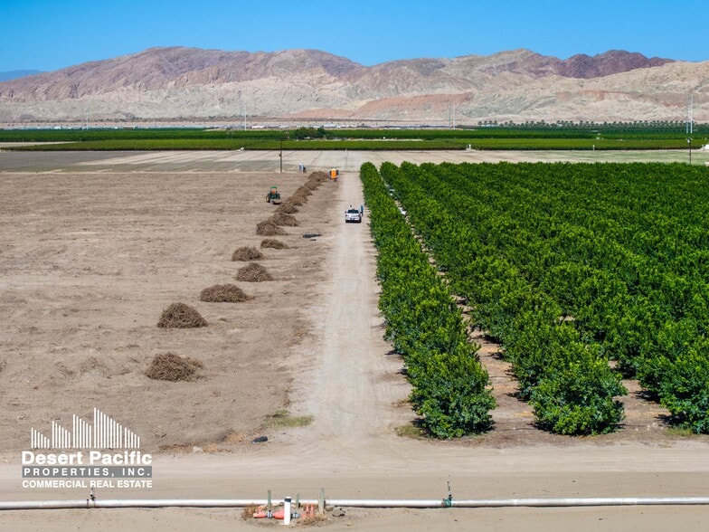 Wheeler St, Mecca, CA for sale - Building Photo - Image 2 of 9