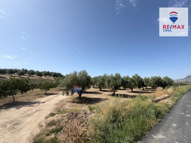 Land in Benamaurel for sale - Building Photo - Image 3 of 11