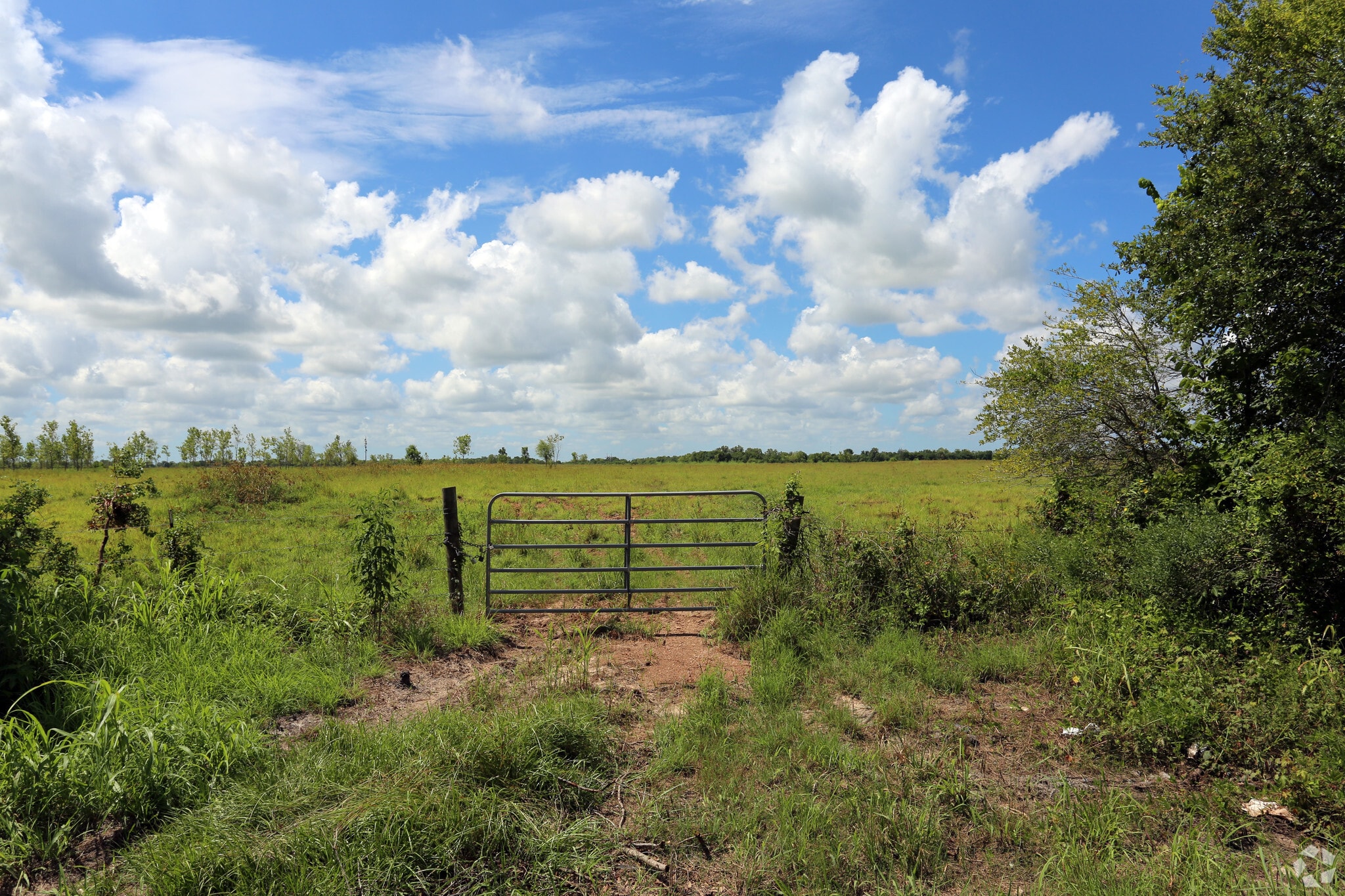 0 McKeever Rd, Pearland, TX for sale Primary Photo- Image 1 of 1