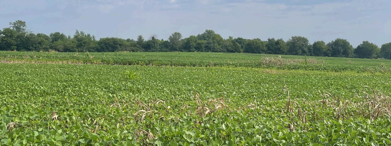 219th Nall Rd, Bucyrus, KS for sale Primary Photo- Image 1 of 2