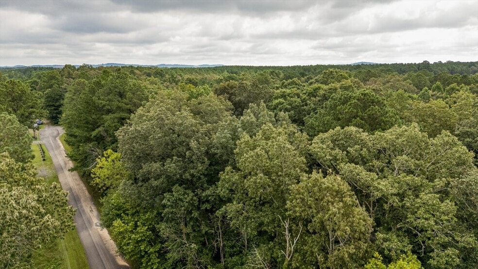 0 Poindexter SE Dr, Cleveland, TN for sale - Aerial - Image 3 of 21