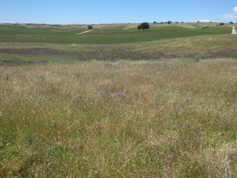 Gate 4 Way, Paso Robles, CA for sale - Building Photo - Image 3 of 9