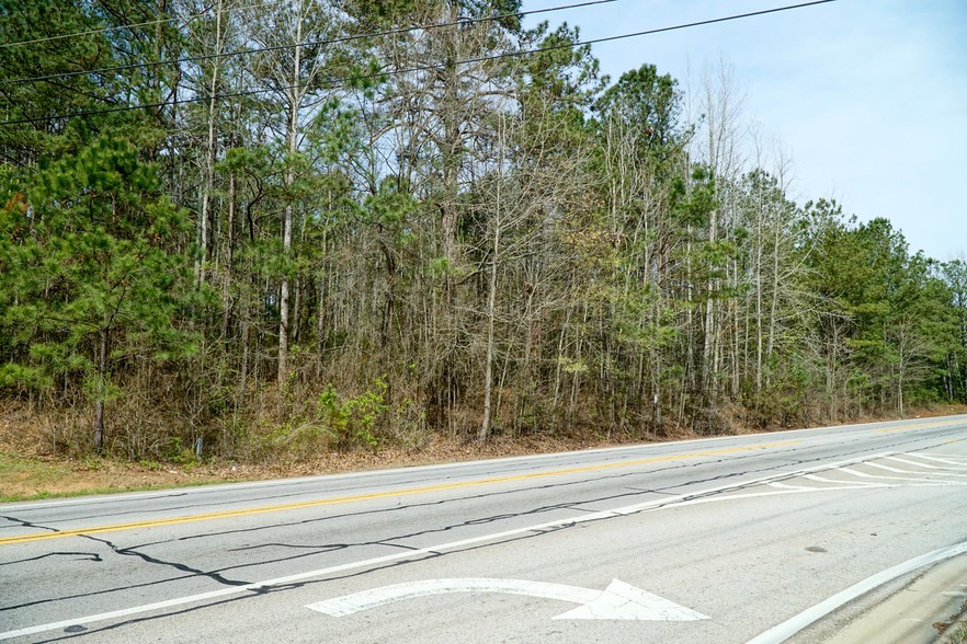 0 N HIGHWAY 42, Stockbridge, GA for sale - Other - Image 3 of 7