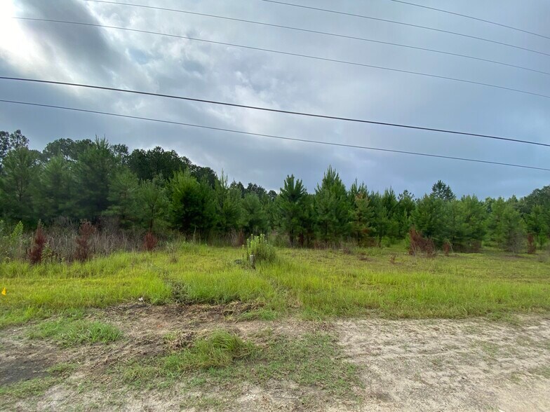 241 S Tallahassee St, Hazlehurst, GA 31539 Land for Sale