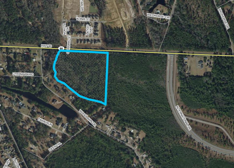 TBD Hwy 90, Conway, SC for sale - Primary Photo - Image 1 of 5