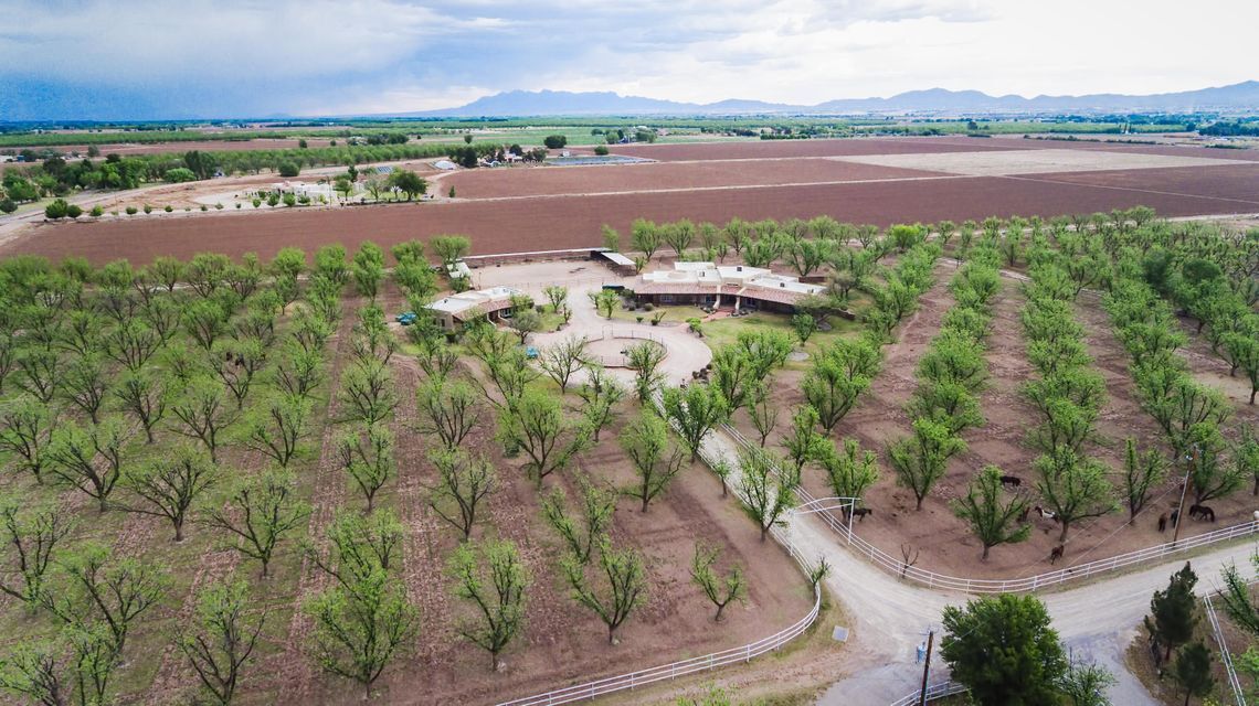 7003 McNutt Rd, Anthony, NM for sale Primary Photo- Image 1 of 1
