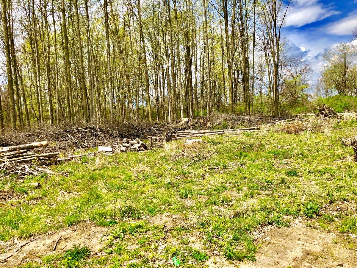 Avery Ln, Mason, MI 48854