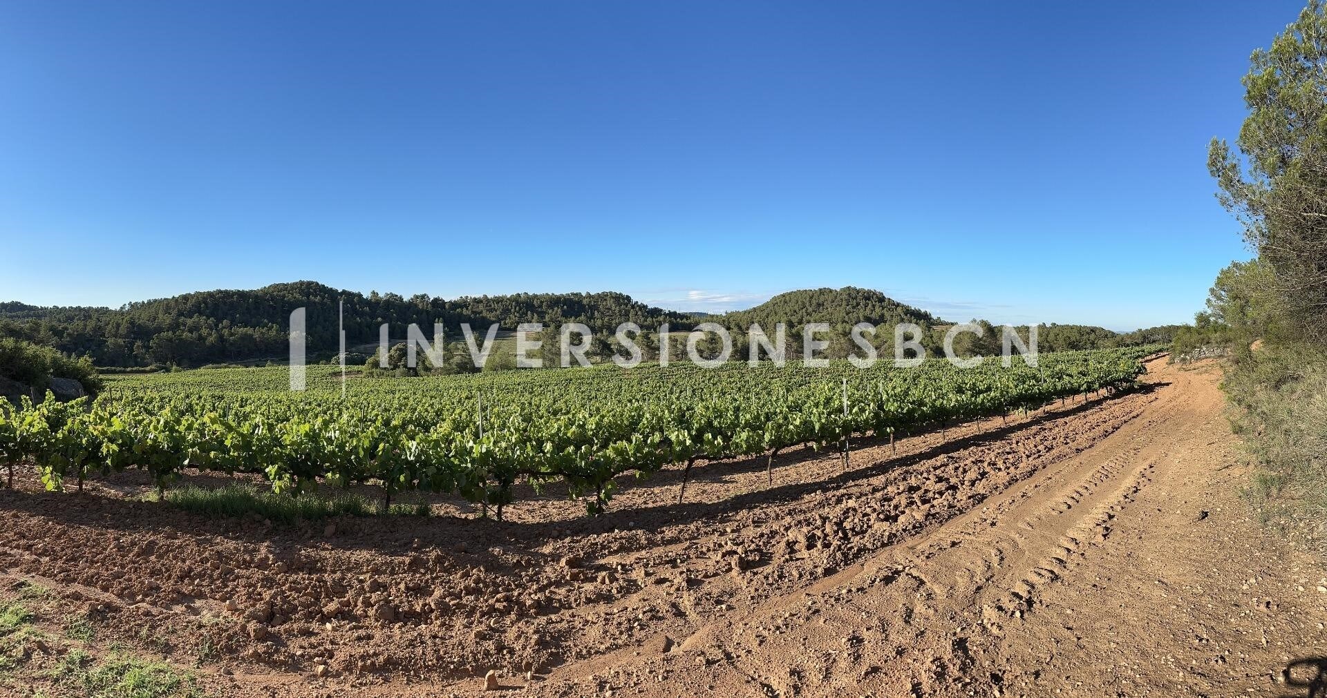 Land in Vimbodí i Poblet, Tarragona for sale Other- Image 1 of 9