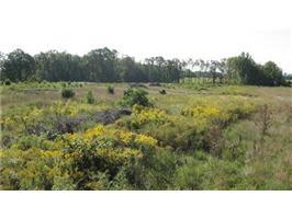 928 E 16th St, Holland, MI for sale Primary Photo- Image 1 of 1