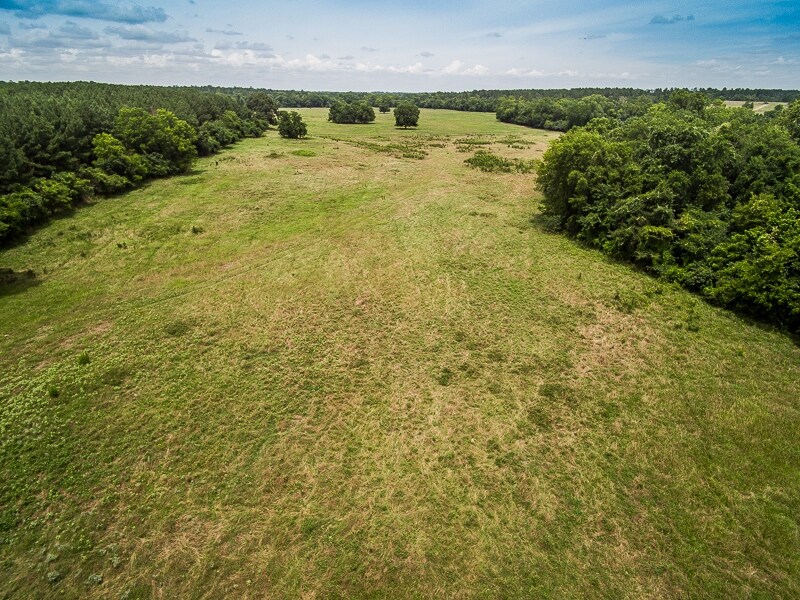 FM 247 and FM 2821, Huntsville, TX 77320