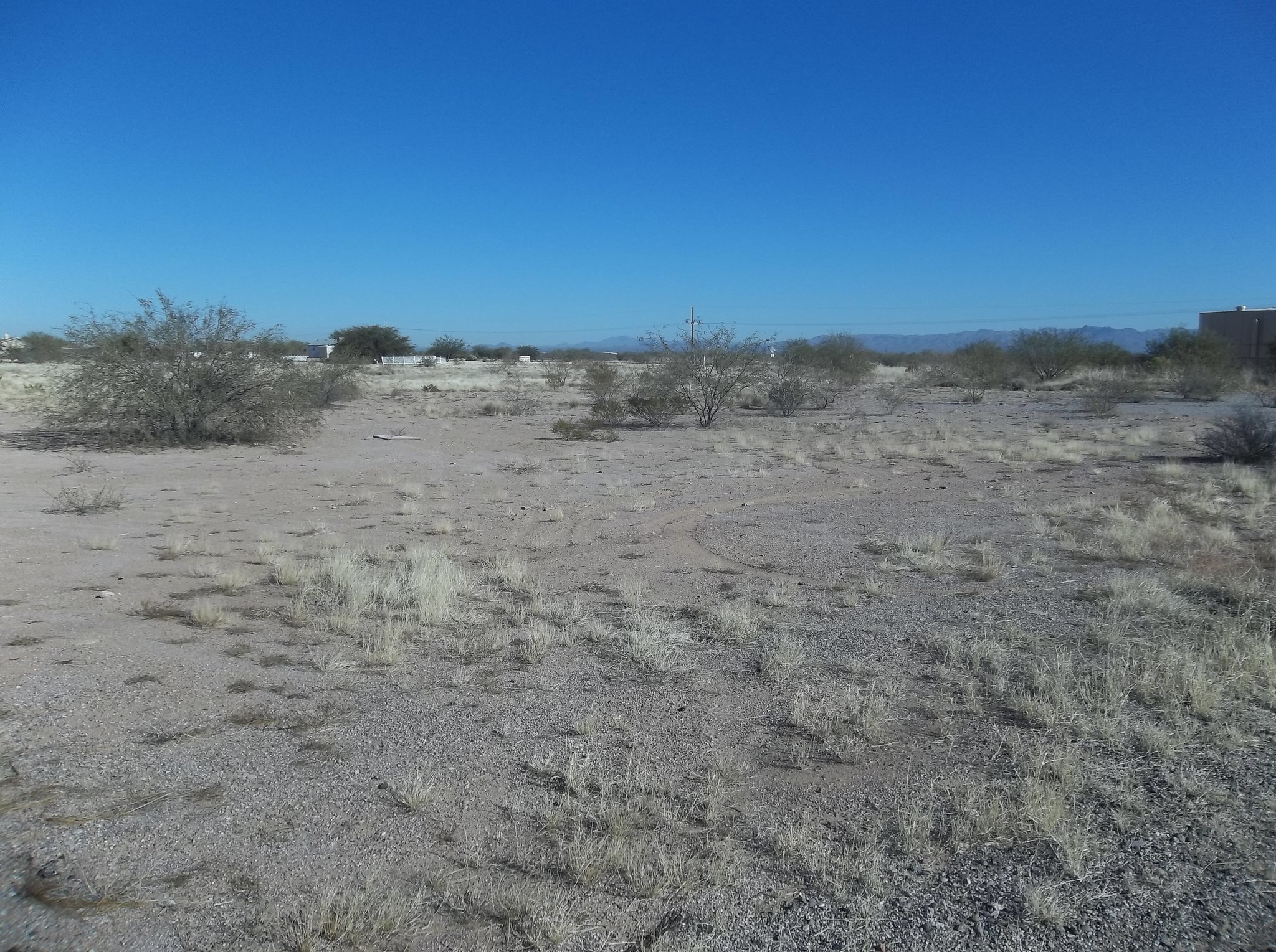 10445 N Anway Rd, Marana, AZ for sale Primary Photo- Image 1 of 1