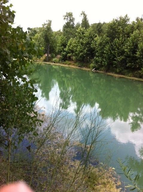 Gruene Rd, New Braunfels, TX for sale Building Photo- Image 1 of 7