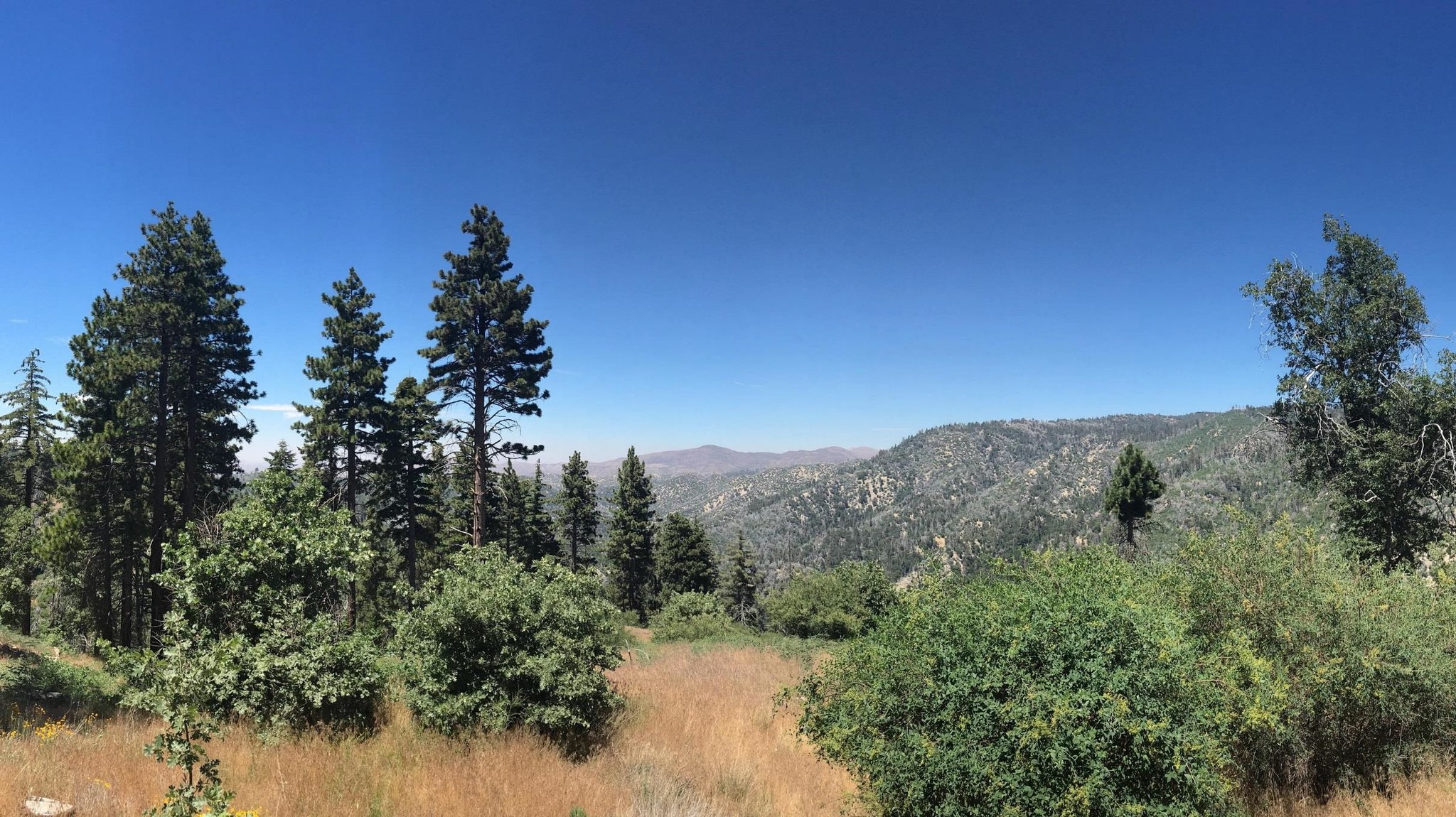 2001 Wilderness Rd, Running Springs, CA for sale Primary Photo- Image 1 of 1