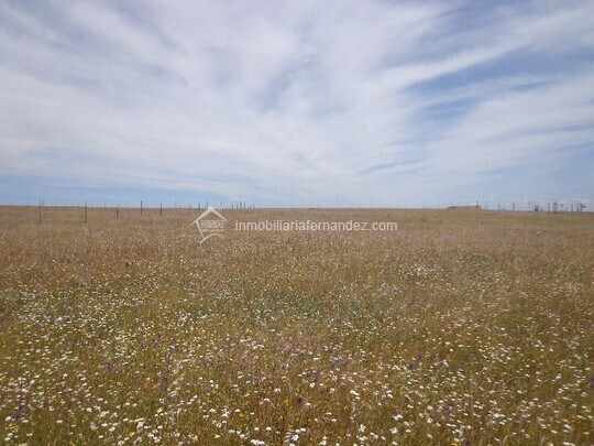 Land in Sierra de Fuentes for sale Building Photo- Image 1 of 3