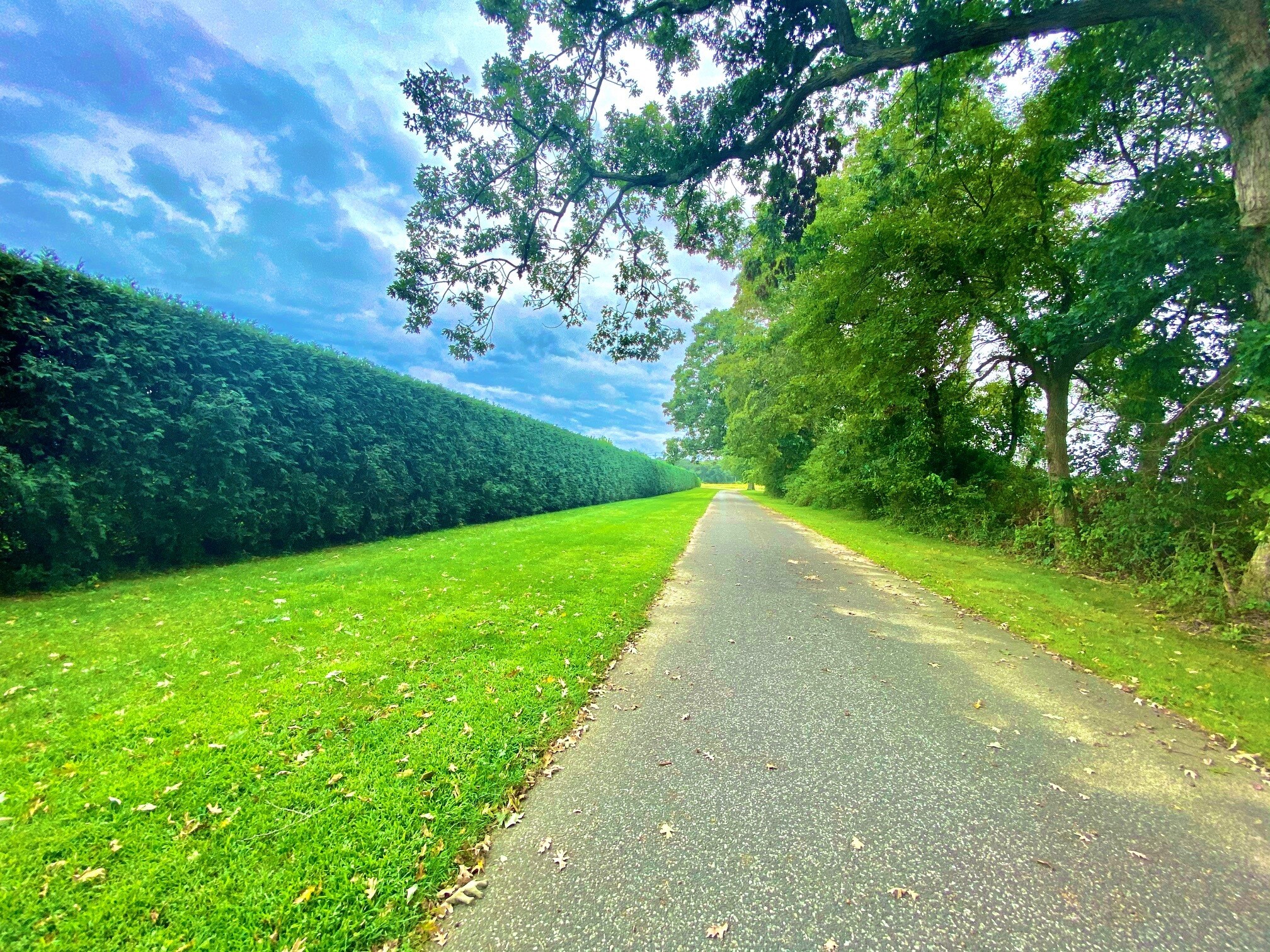 19 Lewis Rd, East Quogue, NY 11942