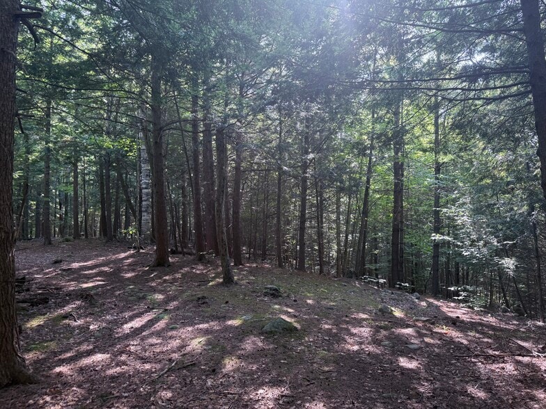 375 Ormsbee Rd, Porter Corners, NY for sale - Other - Image 2 of 4