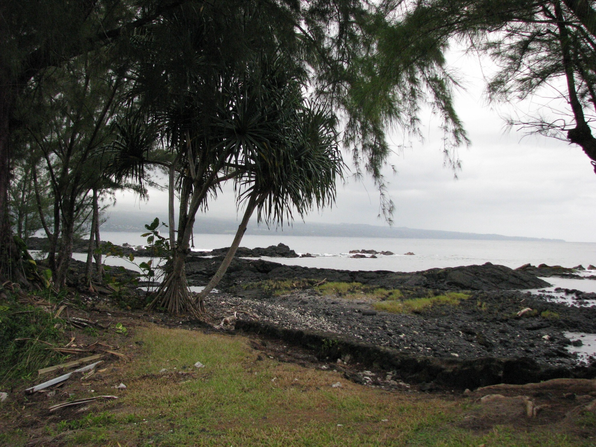 33 Apapane Rd, Hilo, HI for sale Building Photo- Image 1 of 1