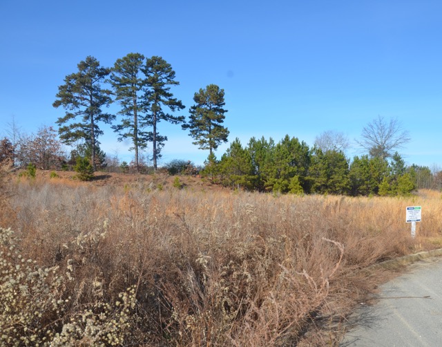 4946 Lexie Ln, Buford, GA for sale - Building Photo - Image 3 of 7