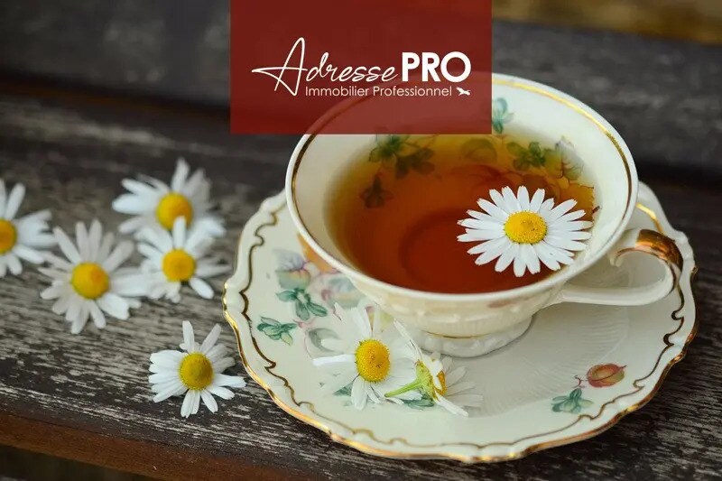 Retail in Montpellier for lease - Building Photo - Image 2 of 6