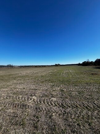 More details for 2292 Nichols hwy, Aynor, SC - Land for Sale