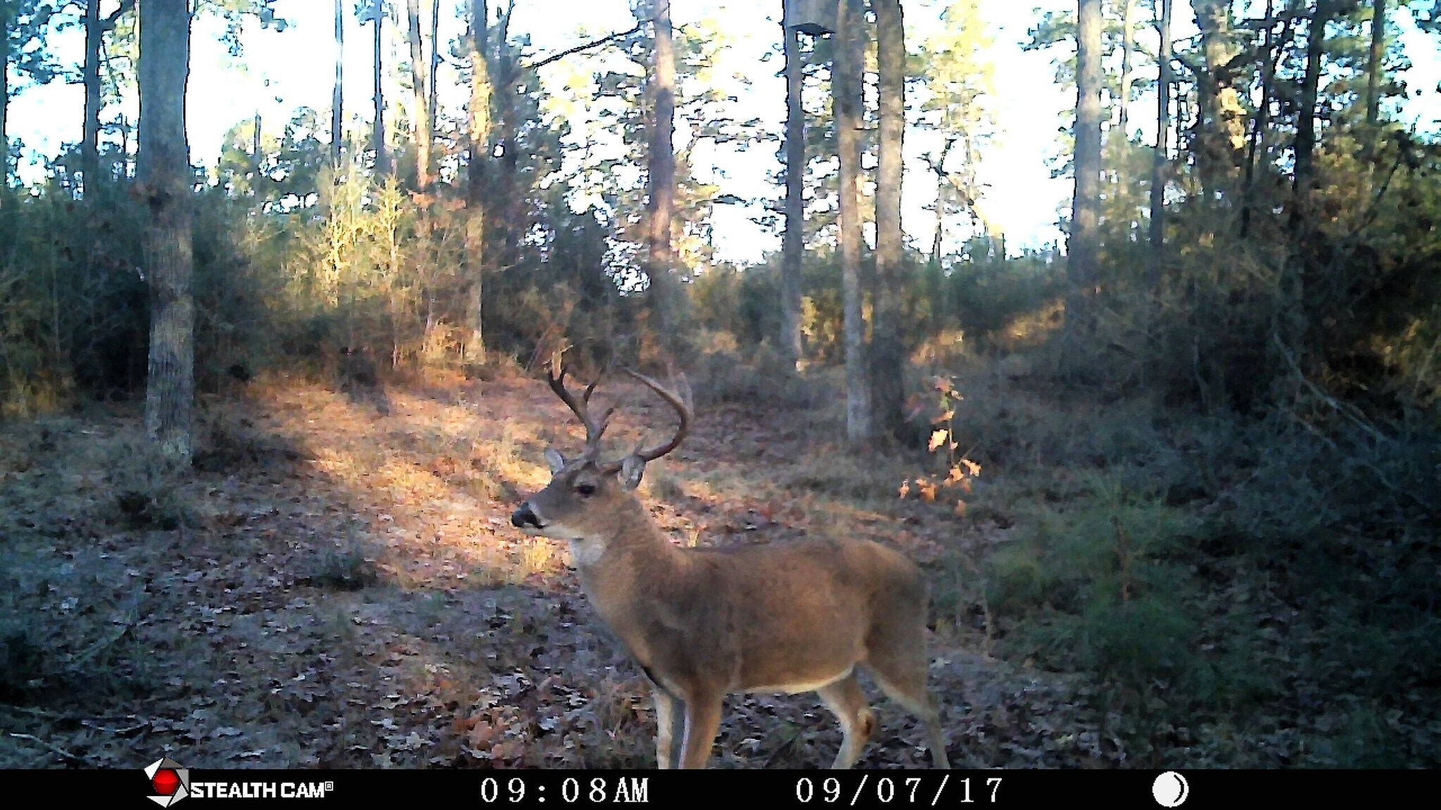 Tbd Trin Lady Park Rd, Trinity, TX for sale Other- Image 1 of 1