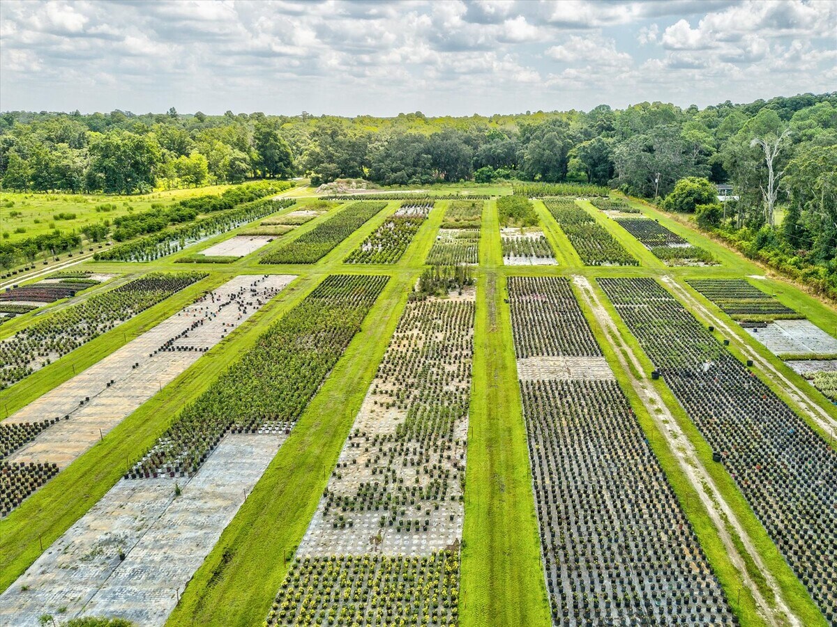 2816 Crystal Springs Rd, Zephyrhills, FL 33540 Specialty for Sale