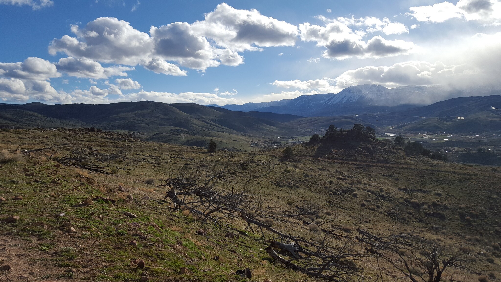 15868 Toll Rd, Reno, NV for sale Primary Photo- Image 1 of 1