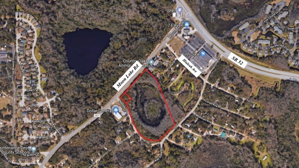 12020 Moon Lake Rd, New Port Richey, FL 34654