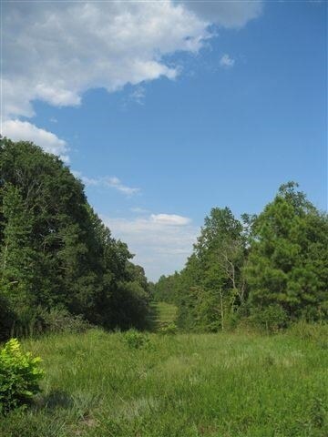 Agnew Rd, Starr, SC for sale Primary Photo- Image 1 of 1