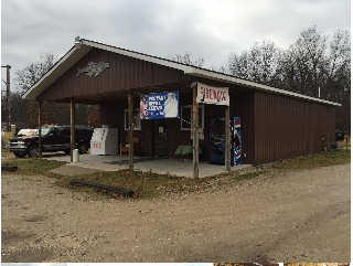 7969 N Bass Lake Rd, Irons, MI for sale - Primary Photo - Image 1 of 1