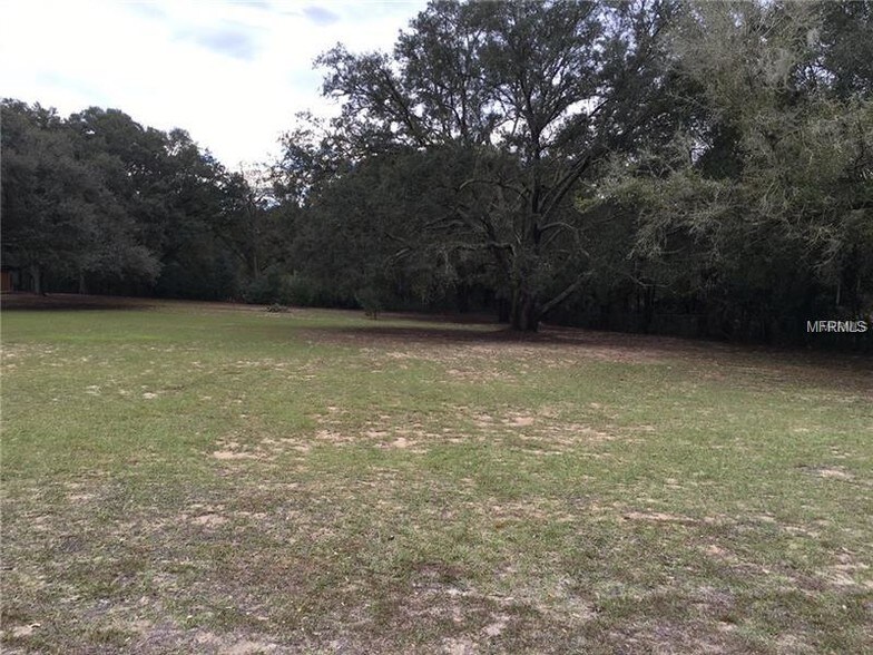 24410 Wolf Branch Rd, Sorrento, FL 32776