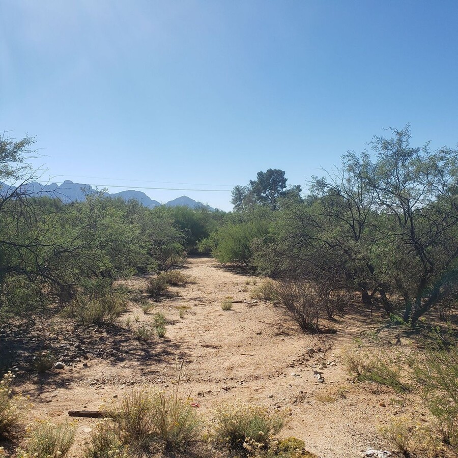 15800 N Twin Lakes Dr, Catalina, AZ 85739 | LoopNet