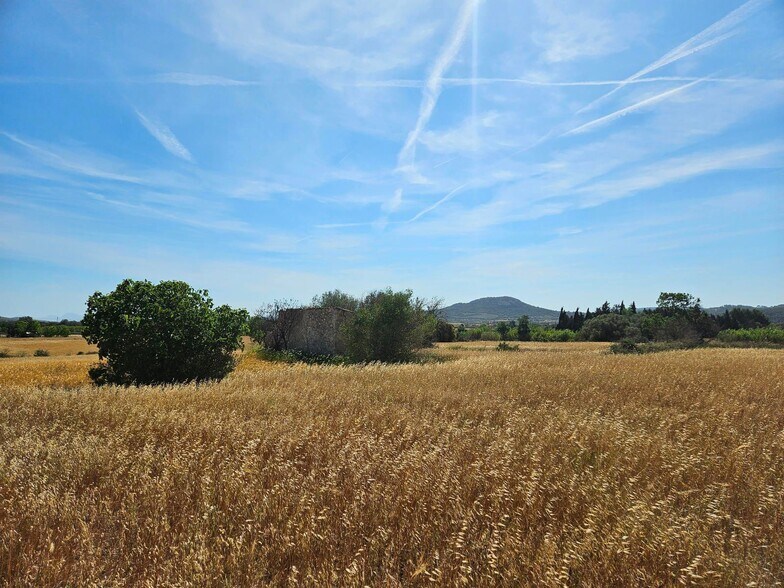 Land in Sineu for sale - Aerial - Image 3 of 10