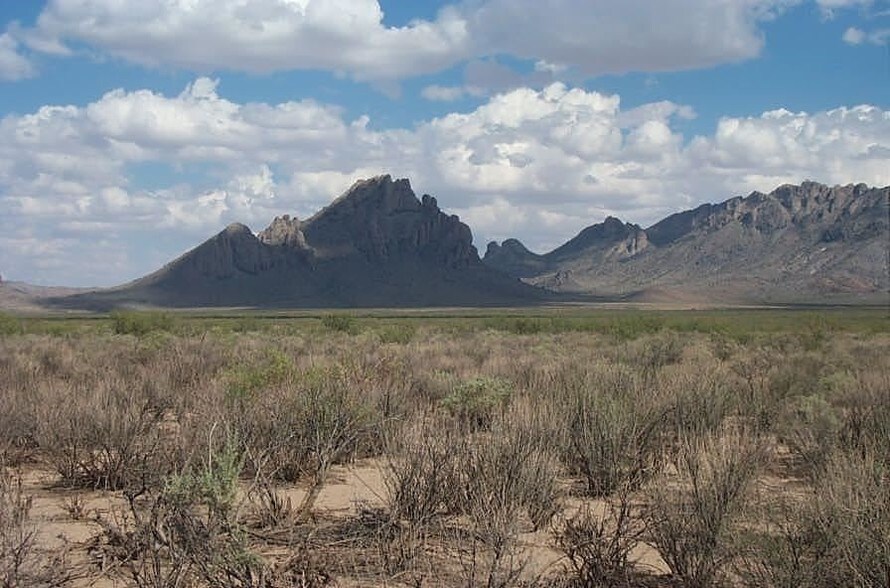 Maverick, Deming, NM for sale - Building Photo - Image 1 of 1
