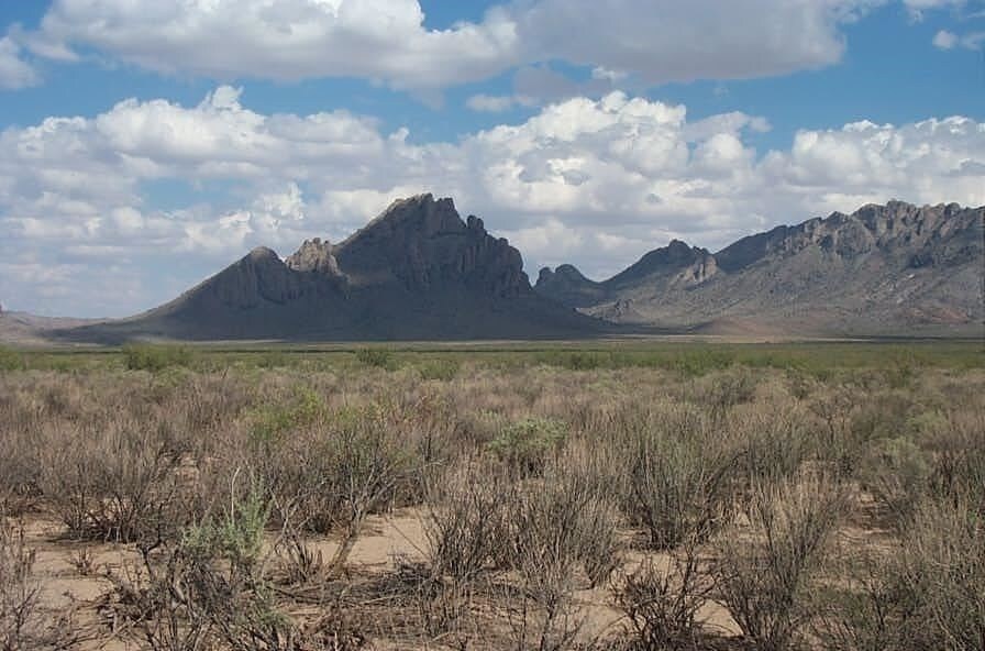 Maverick, Deming, NM for sale Building Photo- Image 1 of 1